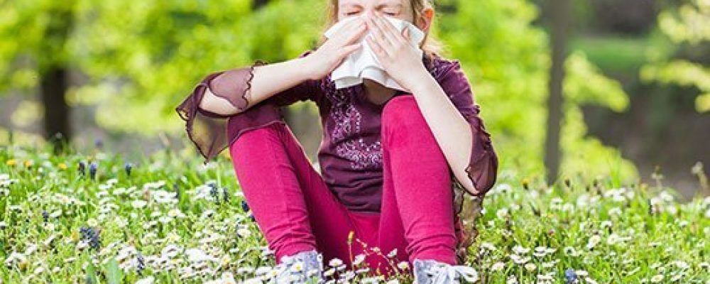 Осторожно: сезонная аллергия